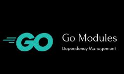 Featured image of post Go 1.16 中Module功能新变化